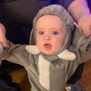 Meet your Posher, Billy